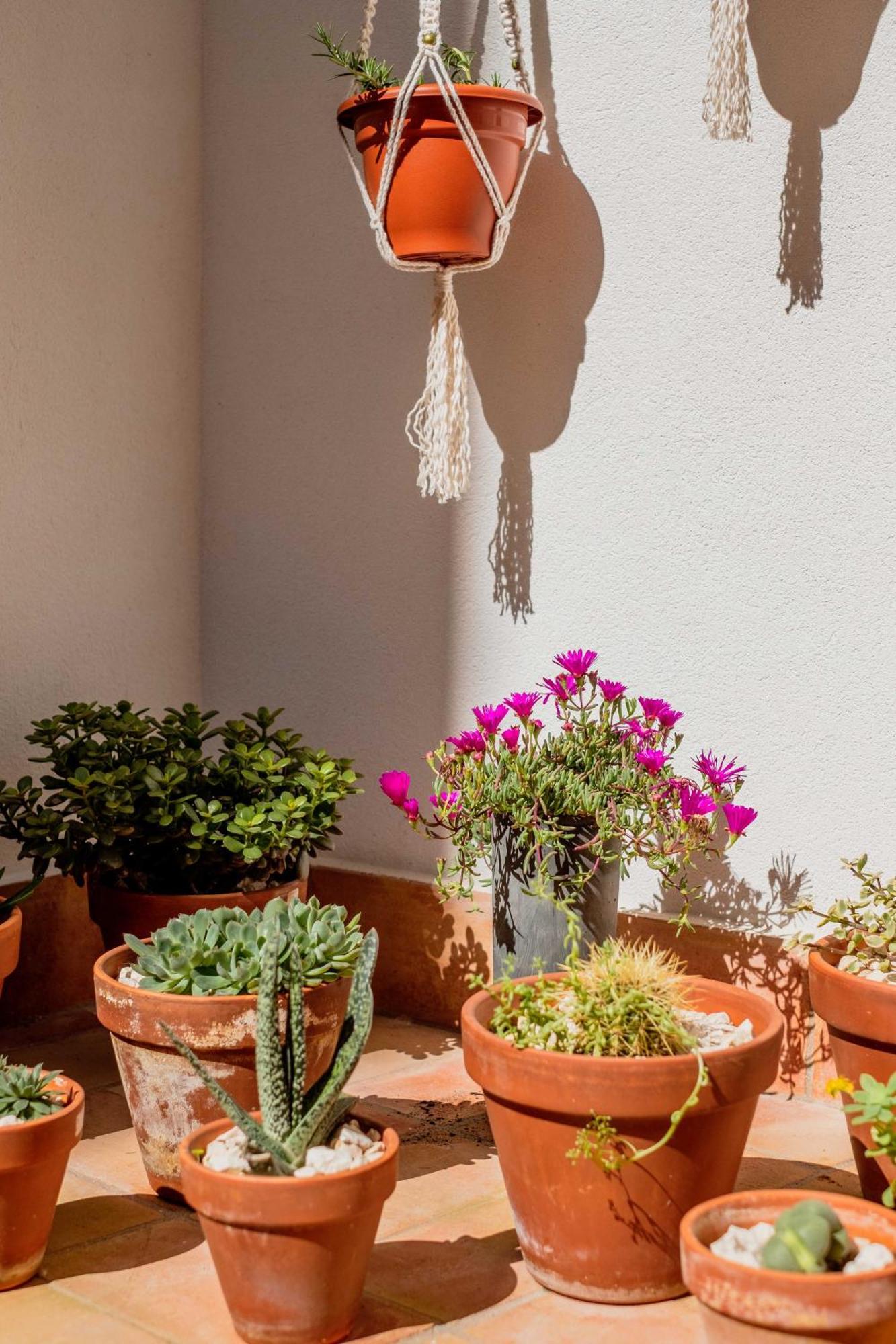 Casa Creativa Лагуш Экстерьер фото